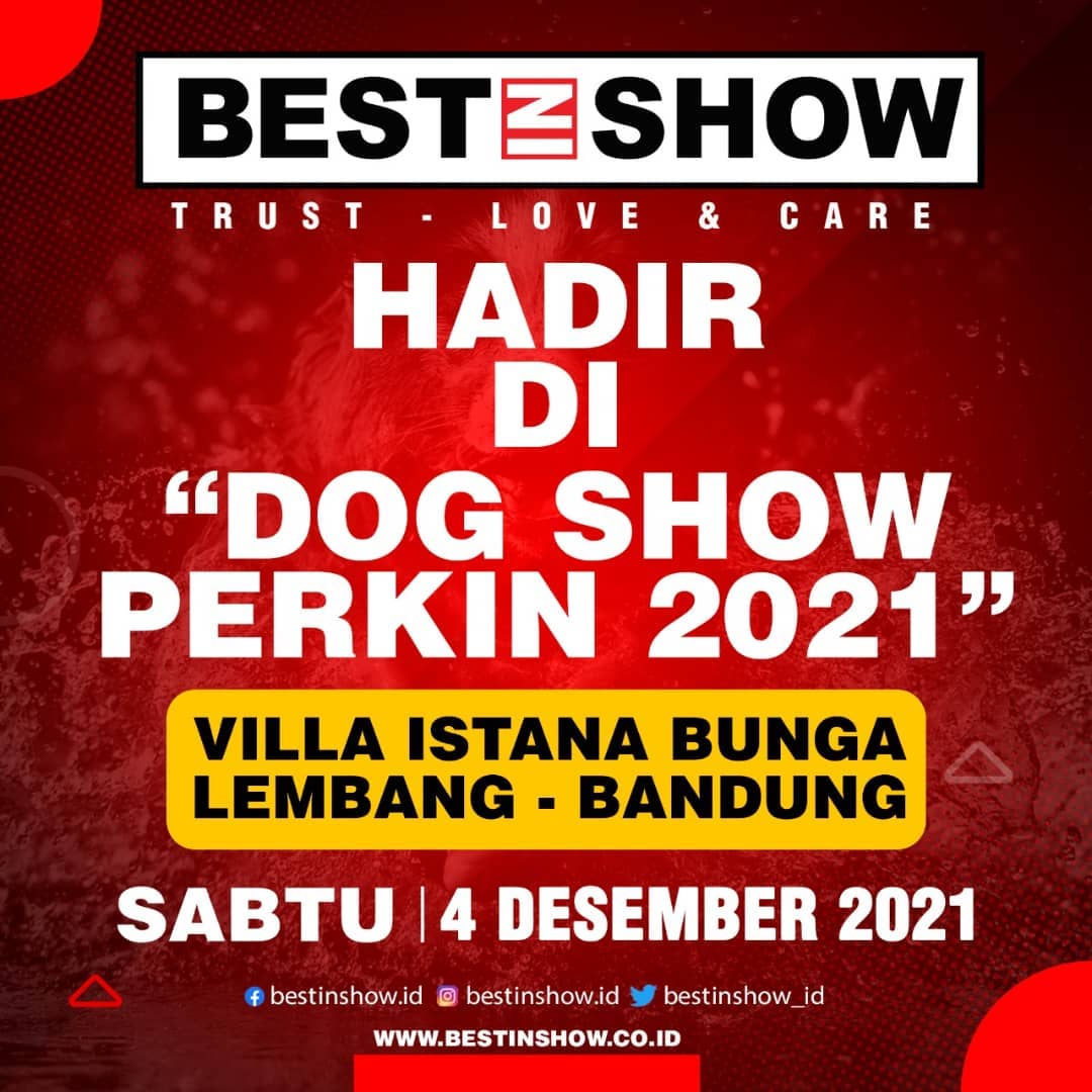 Acara - 3 - Best In Show - Best Pet Food For Your Pet