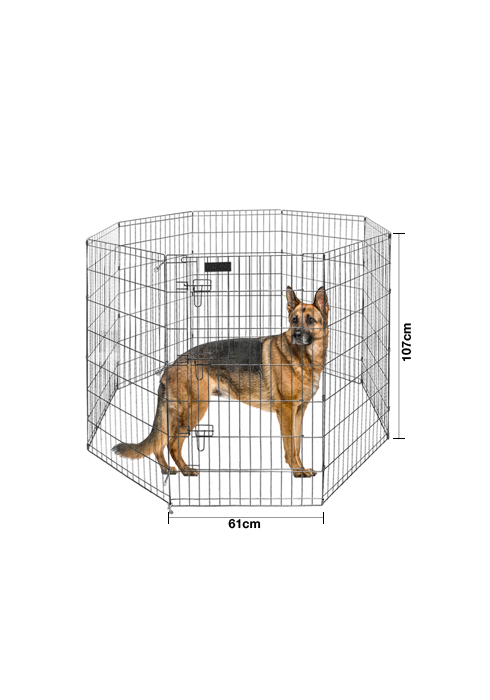 Produk - 320 - Best In Show - Best Pet Food For Your Pet