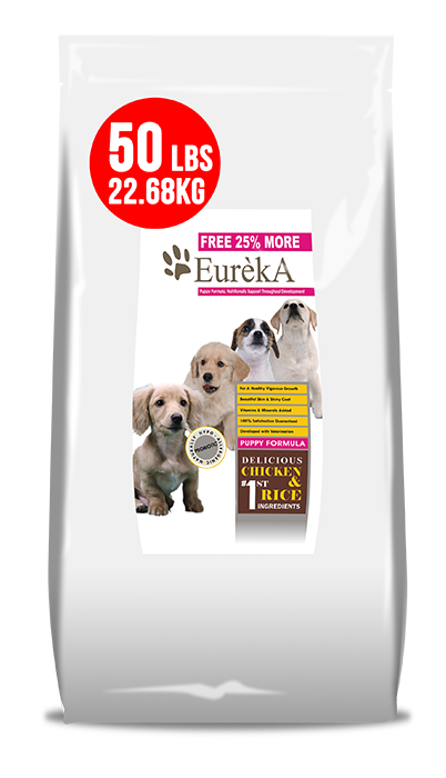 Produk - 25 - Best In Show - Best Pet Food For Your Pet